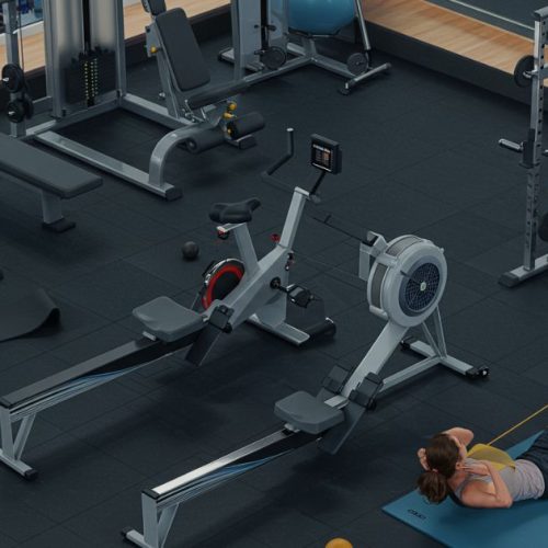 Gym Machines to Lose Belly Fat